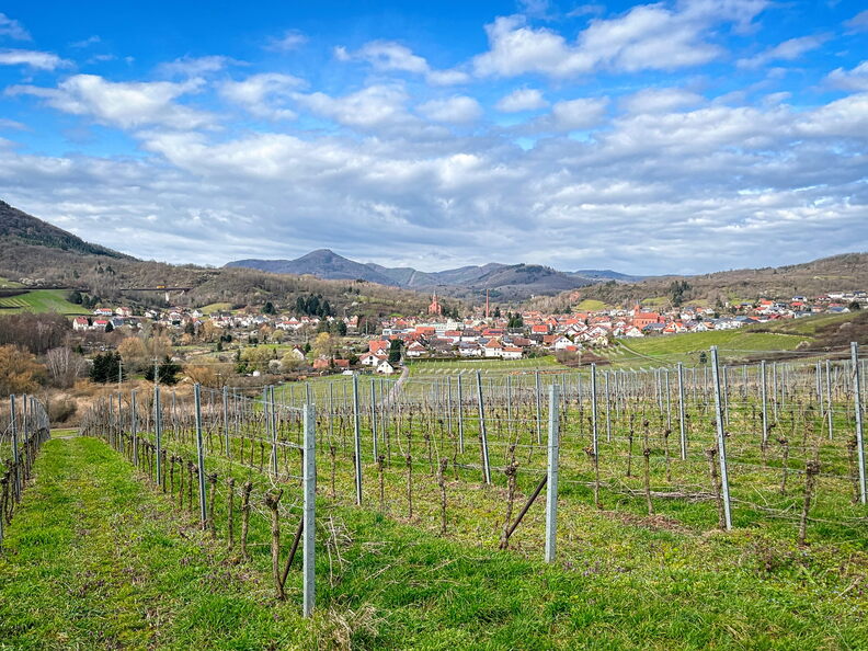 23-03-13 11-17-00 4838